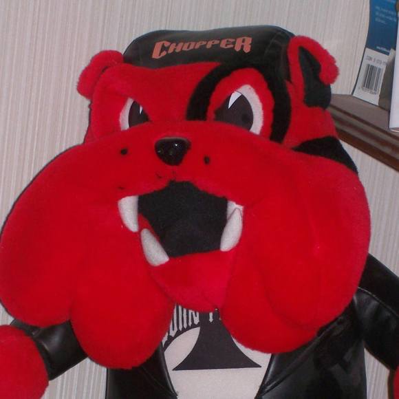 Meet your Posher, Tim - Picture 1 of 1